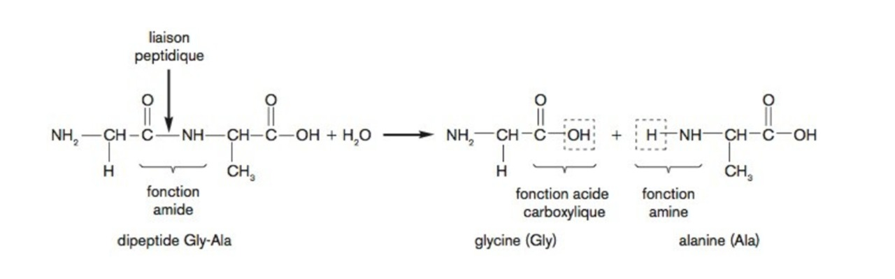 chimie15